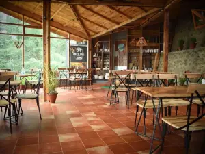 Cafe Under Tree
