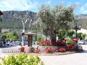 Bar S'Olivera