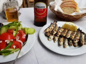 Treli Garida