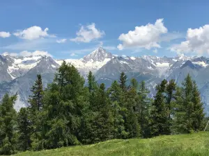 Restaurant Panorama