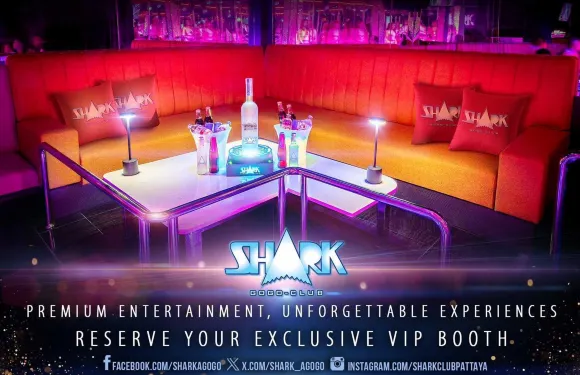 SHARK GOGO CLUB