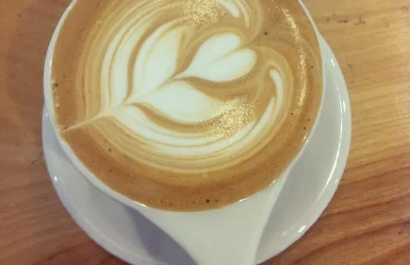Black Velvet Coffee | Espresso Bar