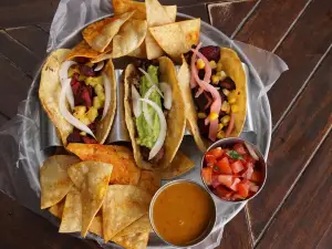 Donkeys Mexicano Fusion