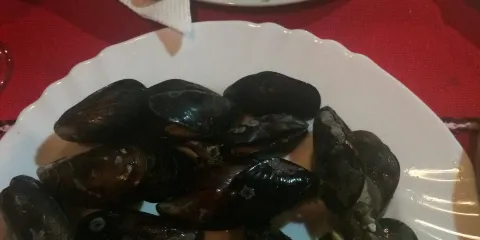 Restaurant Barbut