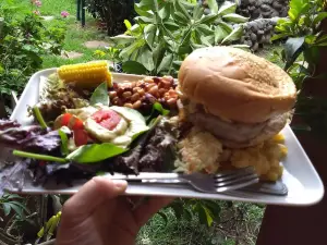Fat Dog BBQ