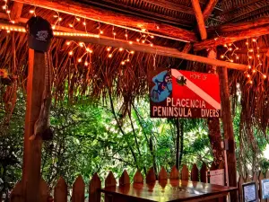 Pickled Parrot