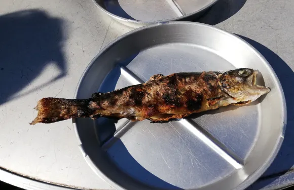 Matsuba Bbq Fujimi Tsuribori