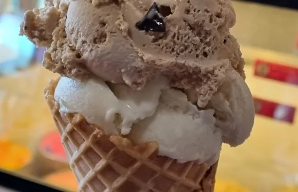 Chocolate and Ice Cream Delight