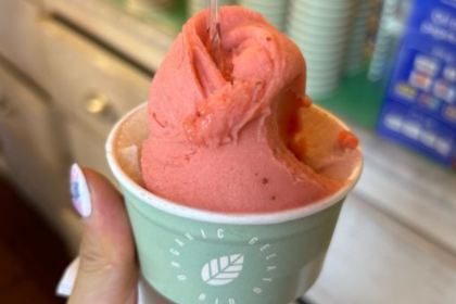 Edoardo il gelato biologico