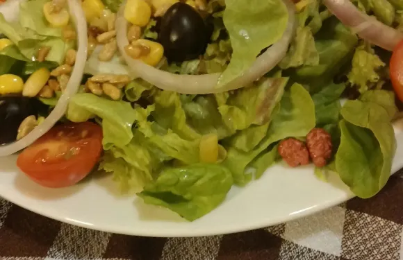 Restaurant Bar El Castell