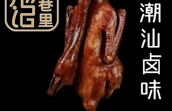 潮記小巷裡潮汕鹵鵝沙茶麵牛肉粿條麪（上海中心店）