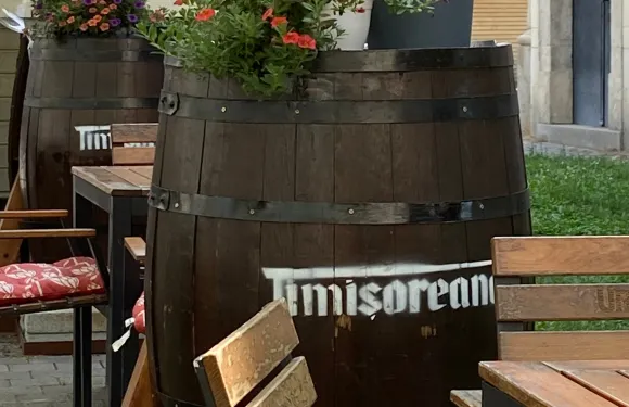 "la Trasura"