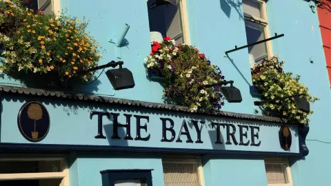 The Bay Tree in Athy