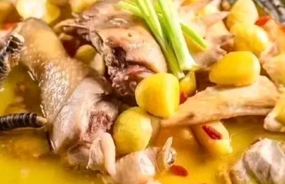 味覺研究生