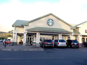 Starbucks Coffee Company