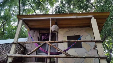 Toloque's Bamboo in ปาเลงเก