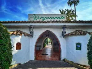 Bergamonte