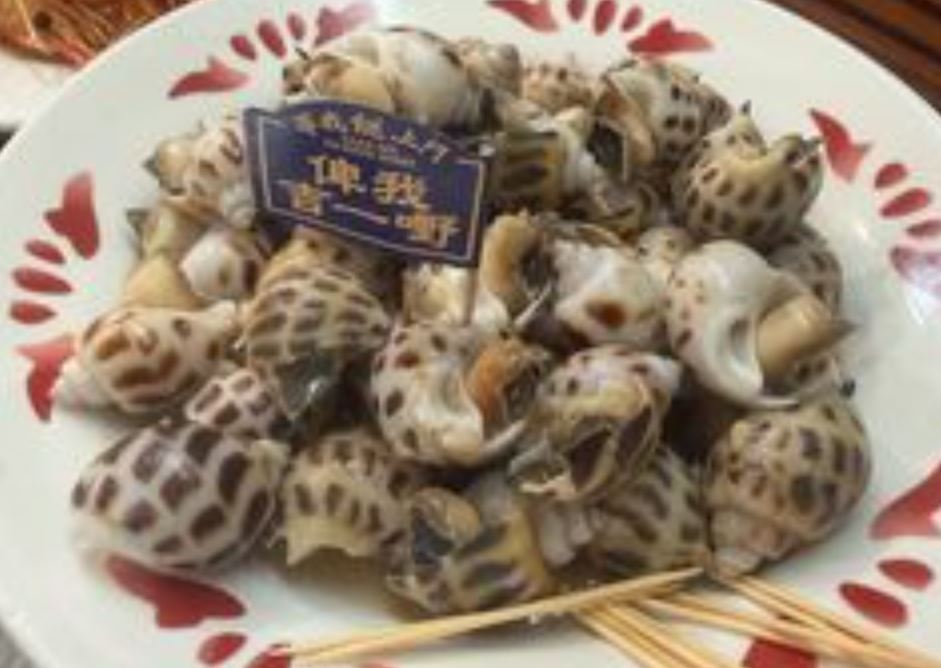 沙姜花螺
