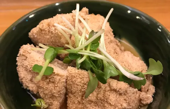 Odendokoro Otorichaya