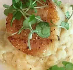 Sierra St. Kitchen & Cocktail