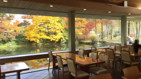 Momochidori in 구조