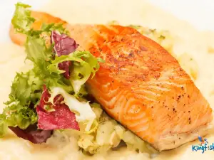 The Kingfisher Seafood Cafe