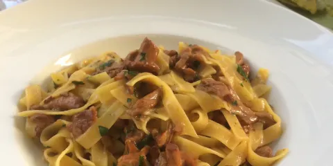 Forsterbrau Central Bolzano