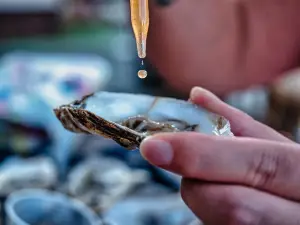 The Oyster Shack