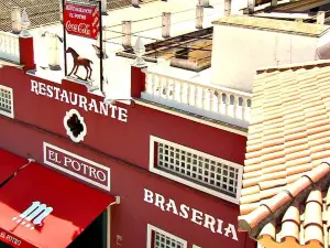 El Potro