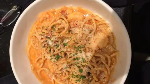 dolce Zola in Chester County
