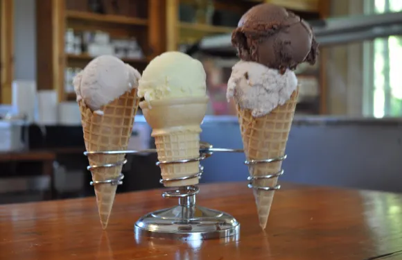 Holman's Ice Cream Parlour