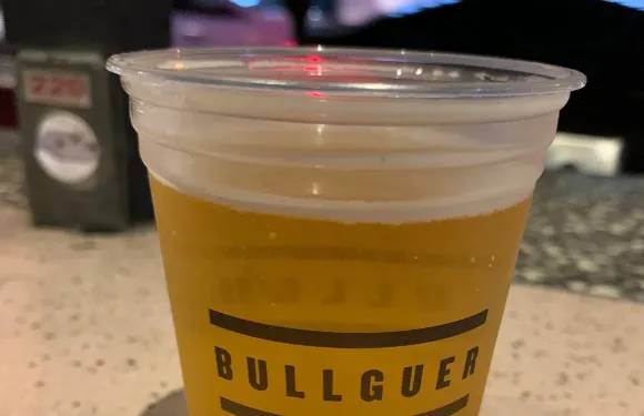 Bullguer