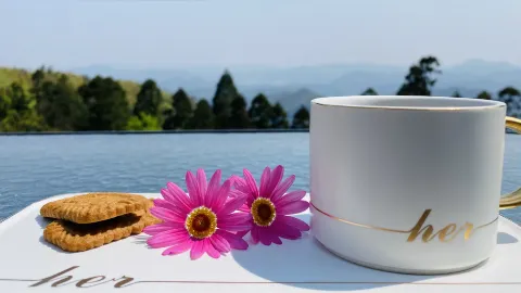 Lonely Cafe孤独的咖啡馆 in Monte Mogan