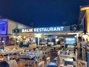 Blue's Aslihan
