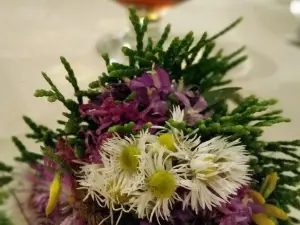 Gustari 1