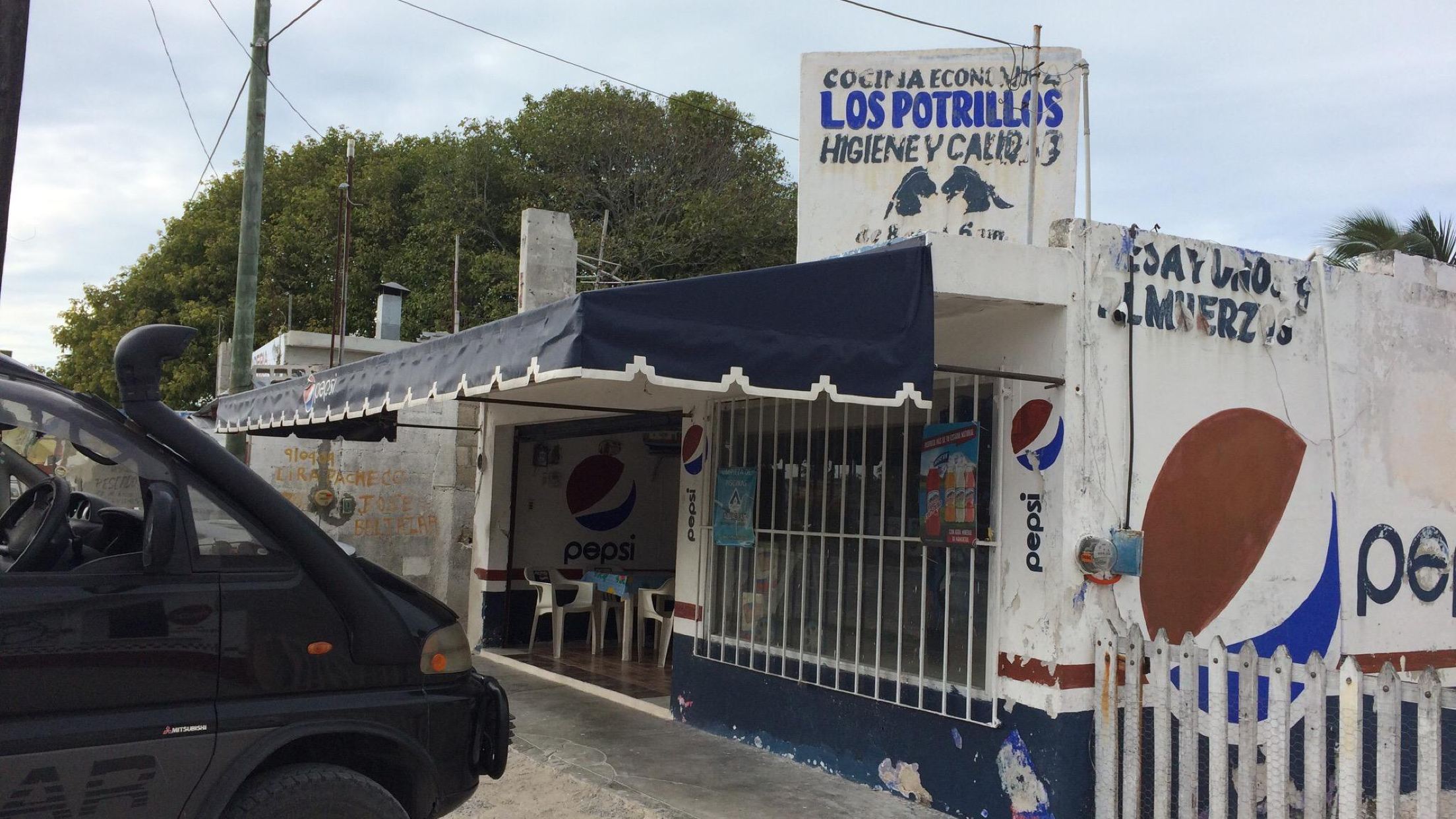 Los Potrillos