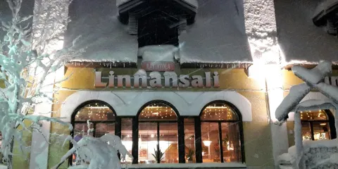 Linnansali
