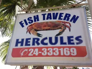 Hercules Fish Tavern