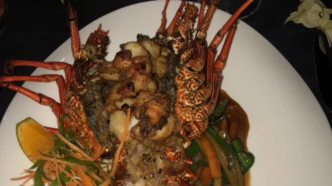 Wild Ginger in วานูอาตู