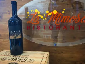Ristorante Pizzeria La Mimosa