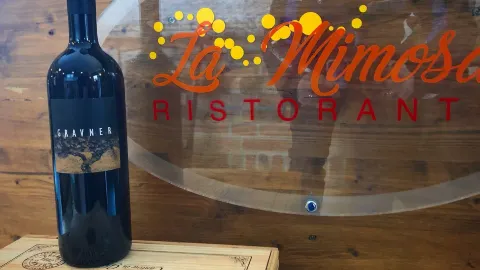 Ristorante Pizzeria La Mimosa in 加拉拉泰