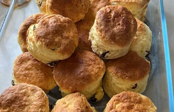 Taste of Heaven Dalyan