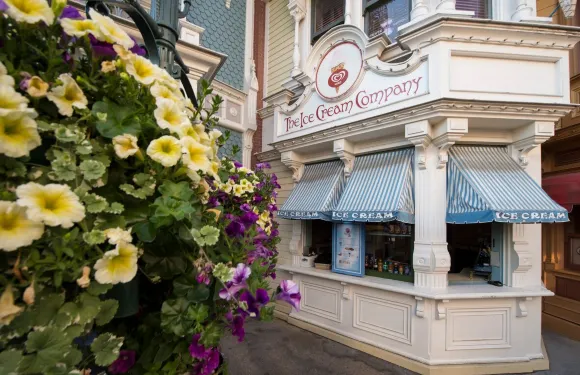 The Ice Cream Company