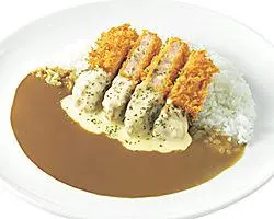 CoCo Ichibanya Nakatsugawa Inter
