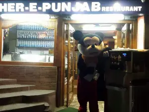 FRIENDS SHER E PUNJAB