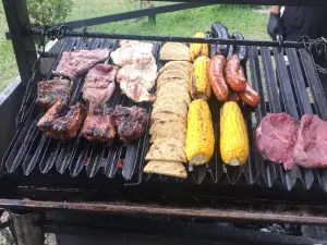 Búho Parrilla entre Pinos
