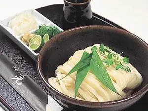 手打ちうどん元
