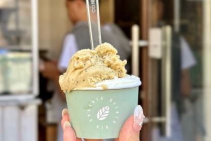 Edoardo il gelato biologico