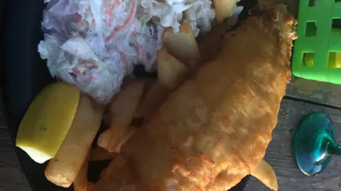 Turtle Joes Sandbar in Evans