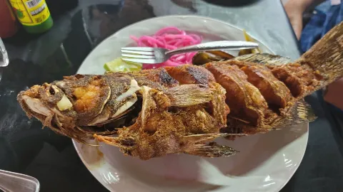 Los Cocos in Chelem
